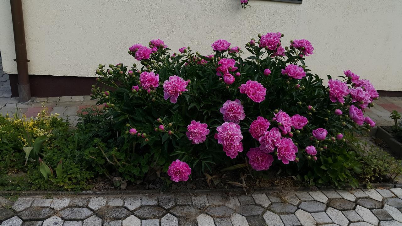 Marietta Apartman Hévíz Buitenkant foto